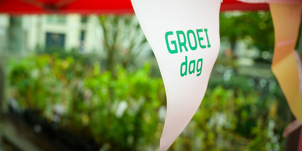 Groeistraten en gratis geveltuintjes tijdens de Groeidagen in Borgerhout